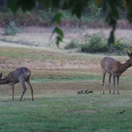 La Grange De Bastard 別荘
