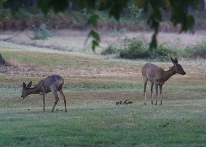 La Grange De Bastard Tatil Evi
