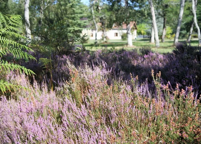 Tatil Evi La Grange De Bastard *